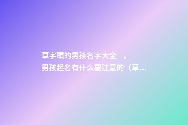 草字頭的男孩名字大全，男孩起名有什么要注意的（草字頭的男孩名字大全,男孩起名有什么要注意的嗎）